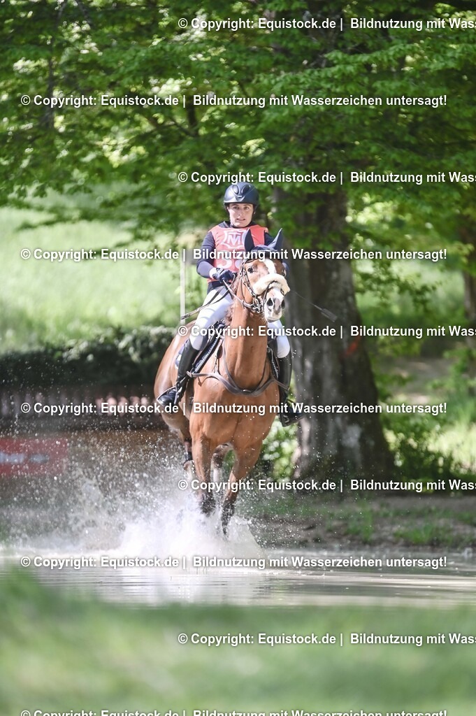 20250517_CCI2_Gelände_0973 | Foto: Thomas Hartig