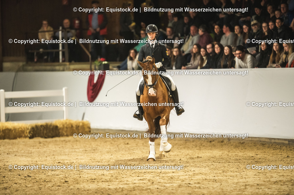 20240302_Hengstvorstellung_Marbach_TOMsPiC_0567 | equistock