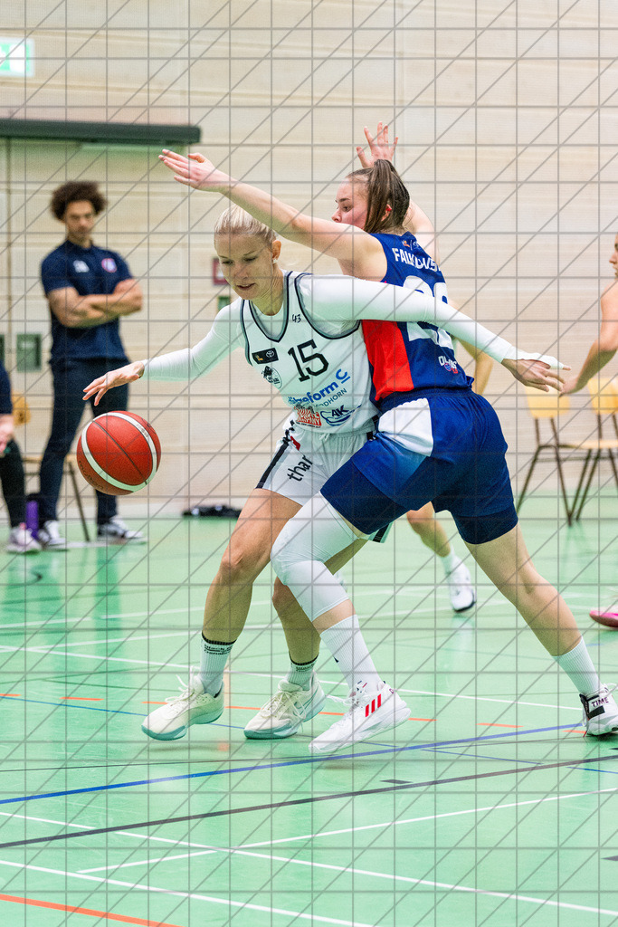 2. DBBL Nord 24/25 | 27.10.2024 | BBC OS vs. TSVE Bielefeld  | 2. DBBL Nord 24/25 | 27.10.2024 | BBC OS vs. TSVE Bielefeld - - - - - CREDIT, www.bullenfotos.de, Martin König, Hörner Weg 40, D-49078 Osnabrück, +4917663732967, Nutzung und Weitergabe nur zu den vereinbarten Zwecken. Presseanfragen an Urheber. Alle Rechte beim Urheber. - - - - - - Realisiert mit Pictrs.com