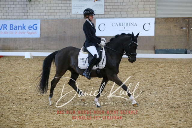 IMG_2792 | Turnierfotos kaufen im Webshop von Daniel Kuhl Photography – entdecke professionelle Reitsportfotos aus Turnieren & Events. Hochwertige Turnierbilder online bestellen & sichern. Jetzt Fotos von Reitsportturnieren kaufen!