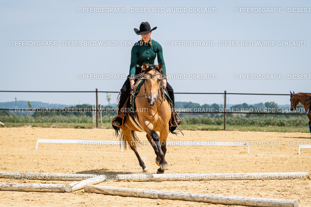 DSC01337 | Pferdegrafie