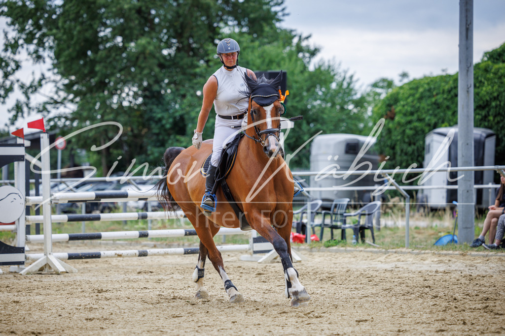 20260705-_3LI6362 | Tierfotografie Pferde, Hunde, Katzen, Haustiere.
Turnierfotografie Reitturniere, Reiten, Springreiten, Dressur in Hanau, dem Main-Kinzig-Kreis und dem Rhein-Main- Gebiet um Frankfurt
