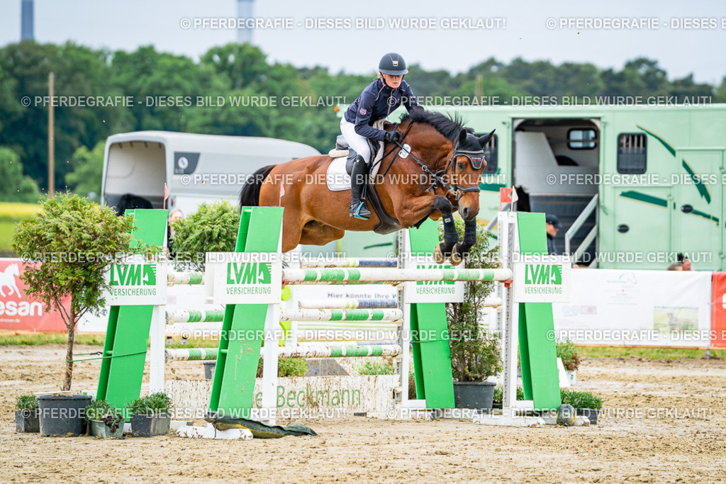 DSC04331 | Pferdegrafie