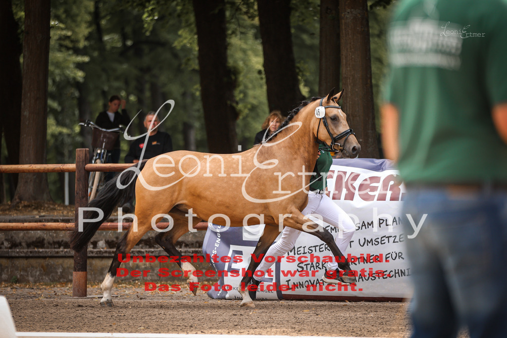 8.So00056 | Leoni Ertmer Photography - Realisiert mit Pictrs.com