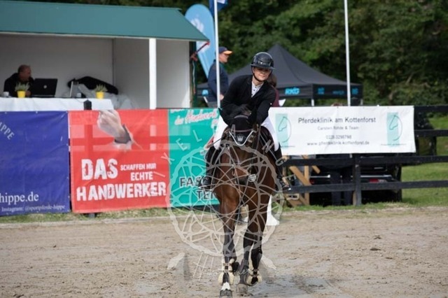 2B4A1326 | pixelfaenger - Realisiert mit Pictrs.com