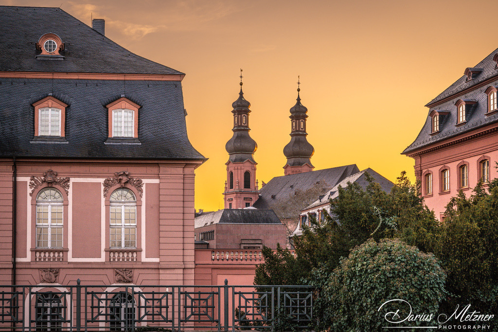 DSC_6770 | Fotografien, Fotos und Bilder aus Mainz, Frankfurt, Wiesbaden und anderen Orten auf der Welt - Fotografiert von Darius Metzner