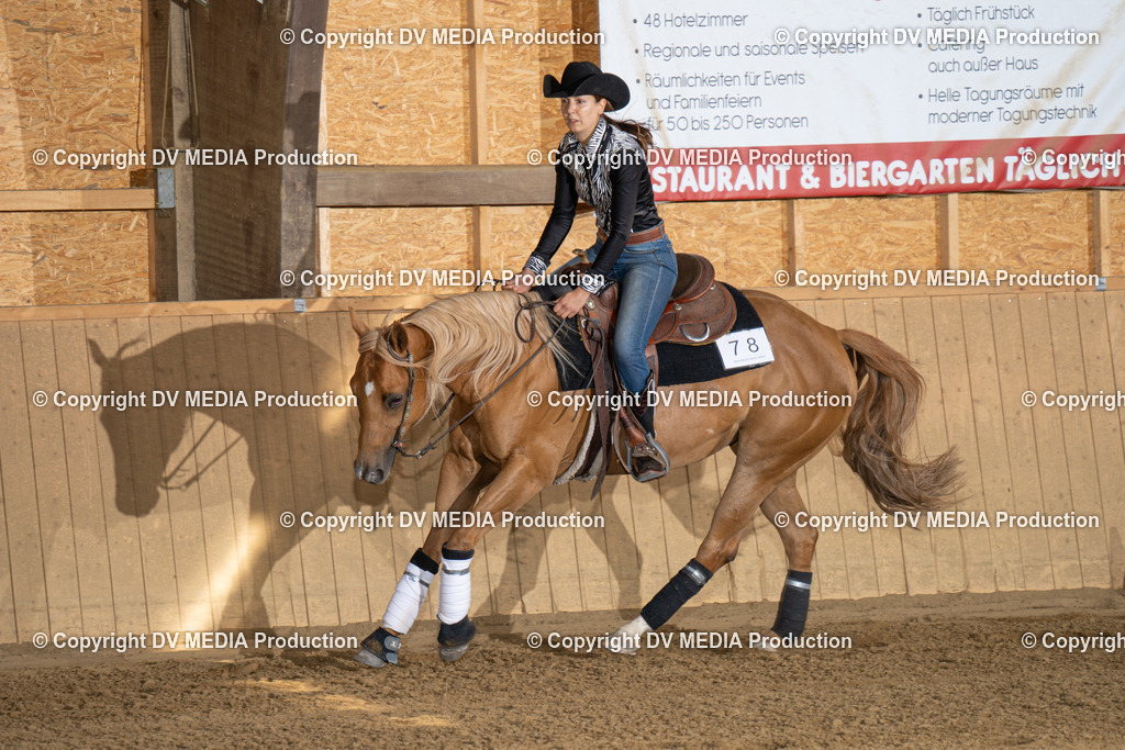 DSC00328 | dv-media-shop - Realisiert mit Pictrs.com