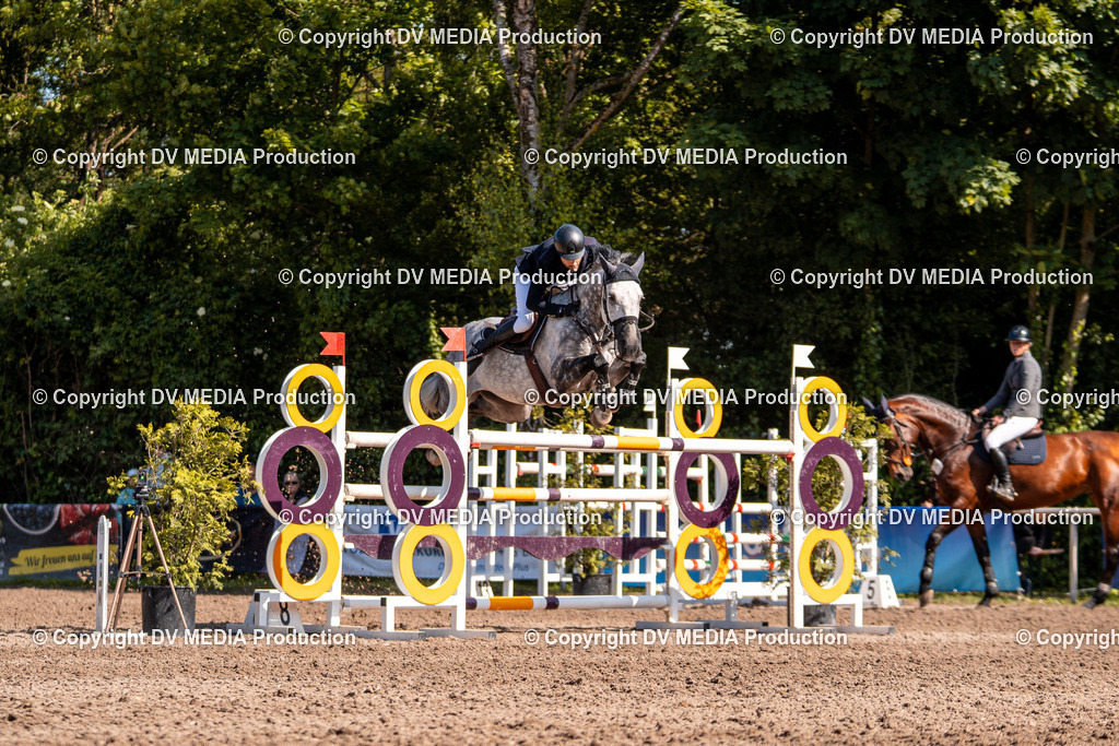 Eppelheim Tag 3-906 | dv-media-shop - Realisiert mit Pictrs.com