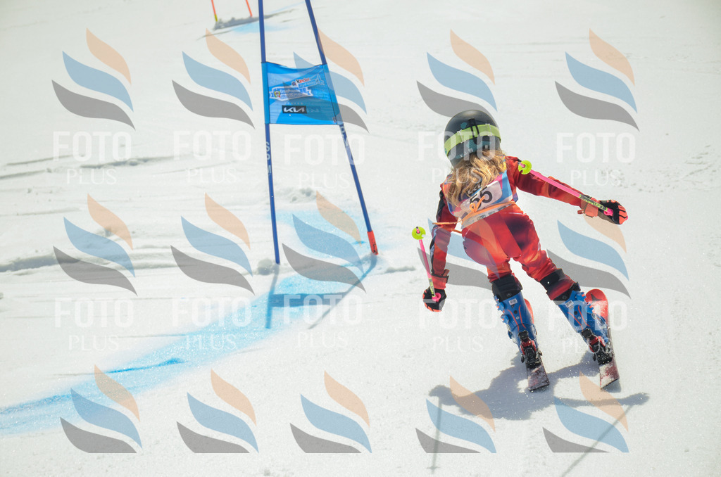 _ELE5252 | holidayphoto