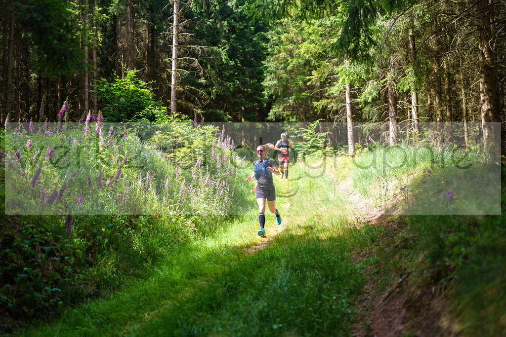 Schneekopflauf 2025 | Schmiedefeld am 5. Juli 2025