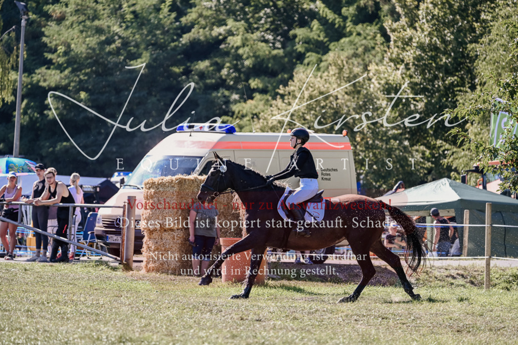 DSC_3430 | Pferde- und Turnierfotografie in Westsachsen. Pferdeportraits, Auftragszeichnungen und intuitive Kunst.