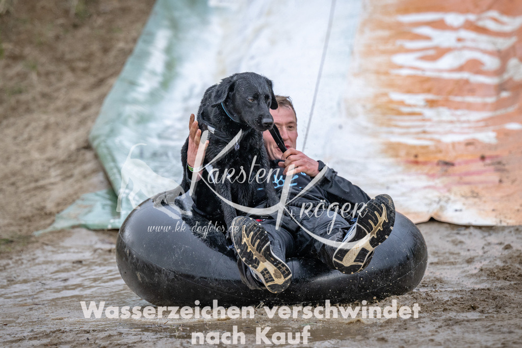 1531_ZZ94153 | kk-dogfotos