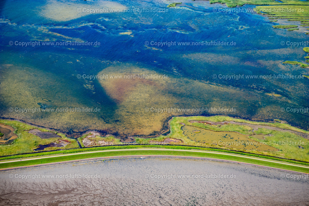Sylt_Rantum_Rantumbecken_Salzwiesen_ELS_9570130825 | SYLT 13.08.2025 Grasflächen- Strukturen einer Feld- und Wiesen- Landschaft " Rantumbecken " in Sylt Nordsee - Insel im Bundesland Schleswig-Holstein, Deutschland. // Grass area structures of a salt marsh landscape " Rantumbecken " in Sylt North Sea Island in the state Schleswig-Holstein, Germany. Foto: Martin Elsen