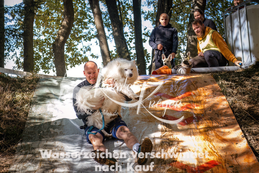 1315_ZZ90950 | kk-dogfotos