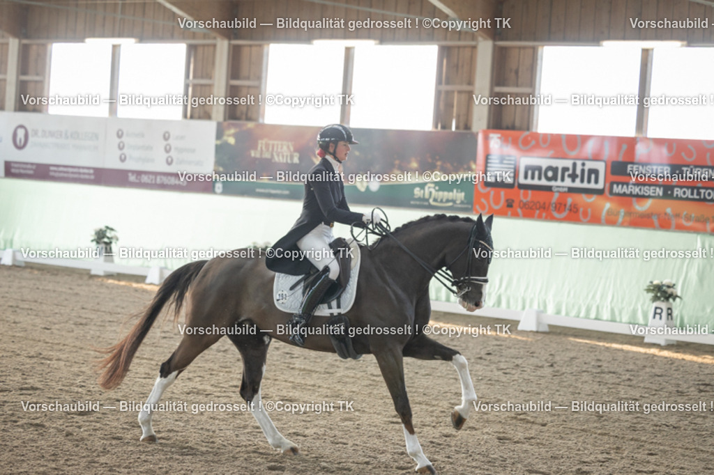 _D5A7881 | Emotionale Pferde- & People-Fotografie rund um Heidelberg, Leimen & Umgebung. Natürliche Fotos von Pferd, Mensch & Familie. Jetzt Termin sichern!