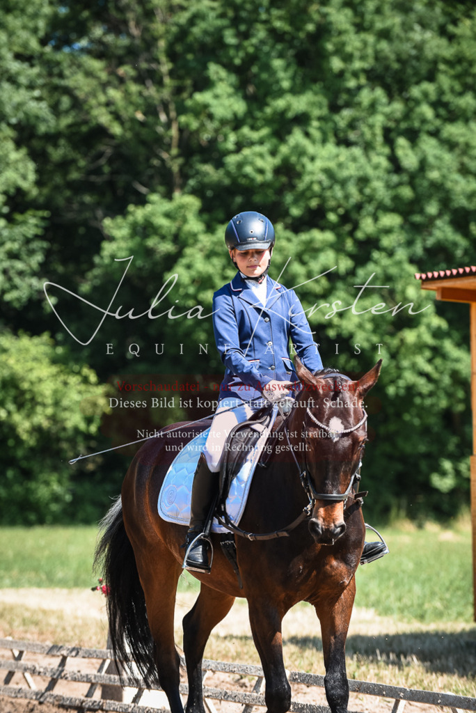 DSC_3347 | Pferde- und Turnierfotografie in Westsachsen. Pferdeportraits, Auftragszeichnungen und intuitive Kunst.