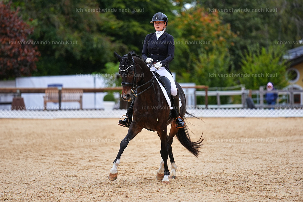 8_1-104-Klasse S_  -Marixx-4216 | working equitationturnier fotograf videograf stoibphotography marixx film working equitation deutschland reitsport turnierfotografie eventfotografie equestrian events