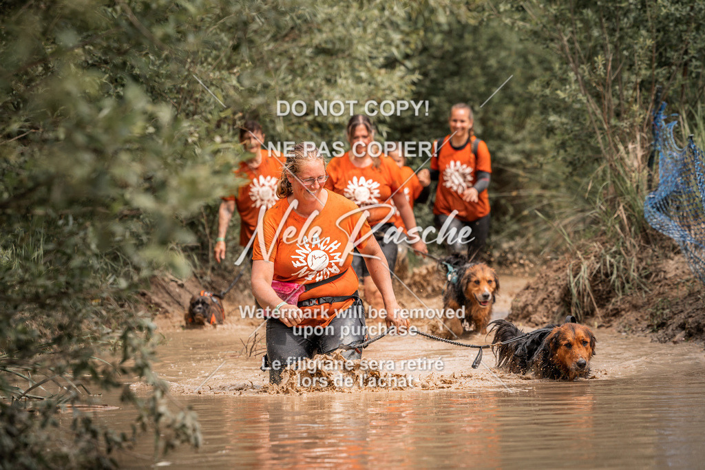 nelerasche_Hoope2026_So1400-1430_211 | nelerasche