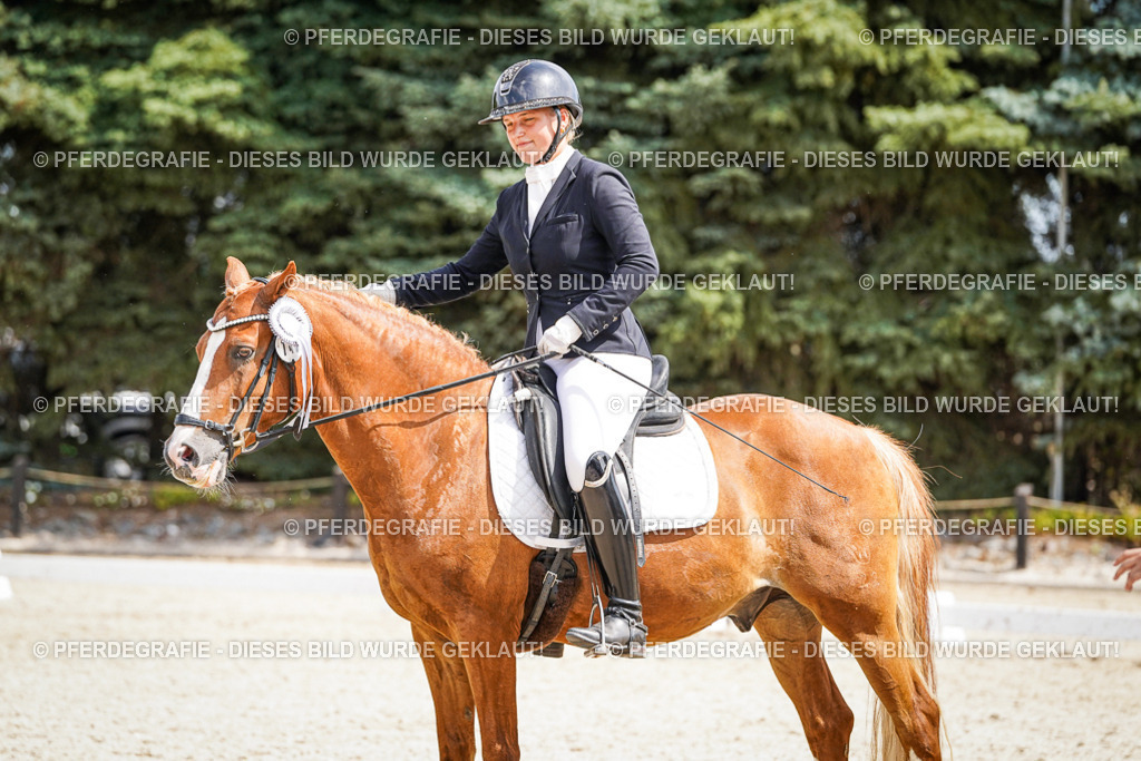 DSC02245 | Pferdegrafie