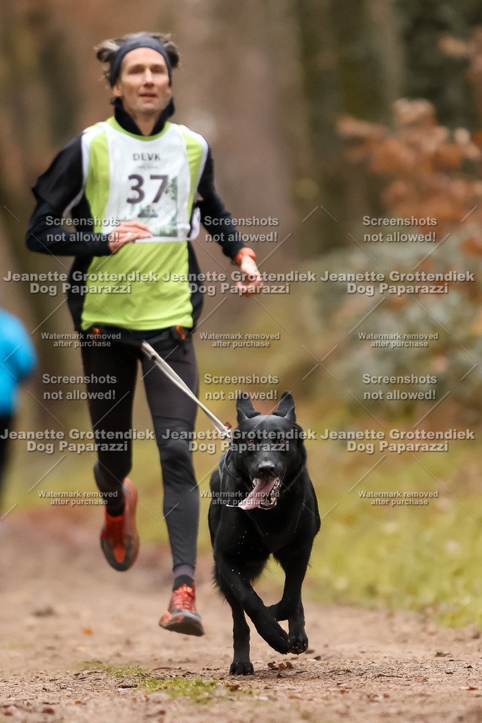 Dog Paparazzi - Speedhunter Mannheim  2025-92 | Dog Paparazzi Jeanette Grottendiek Fotografie & Videografie