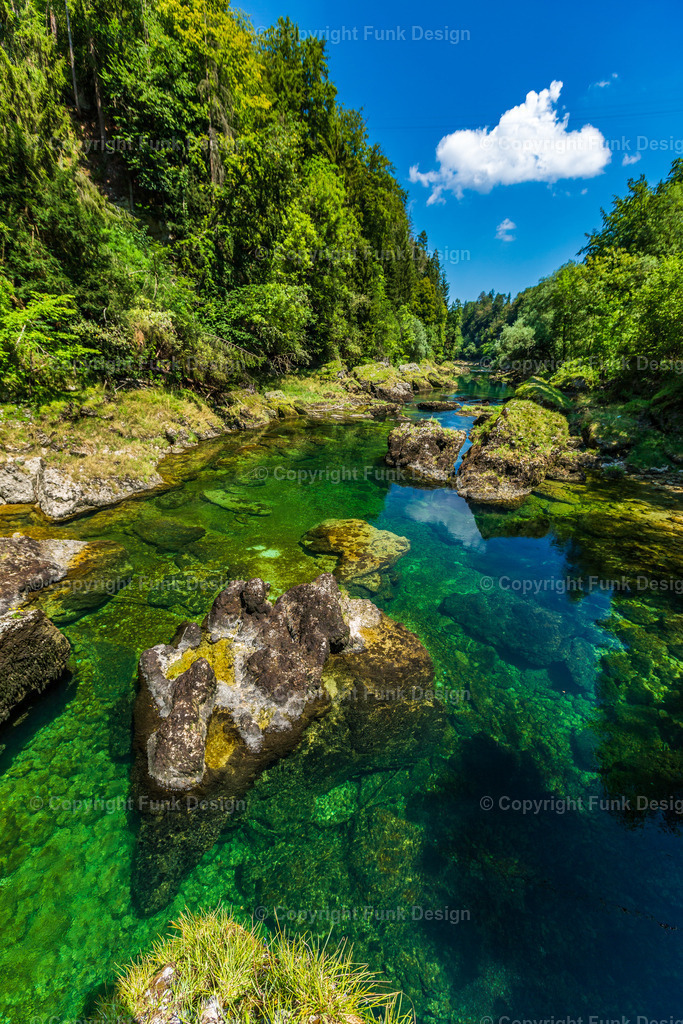 Türkisgrüne Traun – Oberösterreich, Österreich | Die Traun zeigt sich hier in kräftigem Türkisgrün, glasklar und ruhig zwischen Felsen und dichtem Uferwald. Das Zusammenspiel aus Wassertransparenz, Sonnenlicht und sattem Grün wirkt frisch, sauber und unglaublich beruhigend.