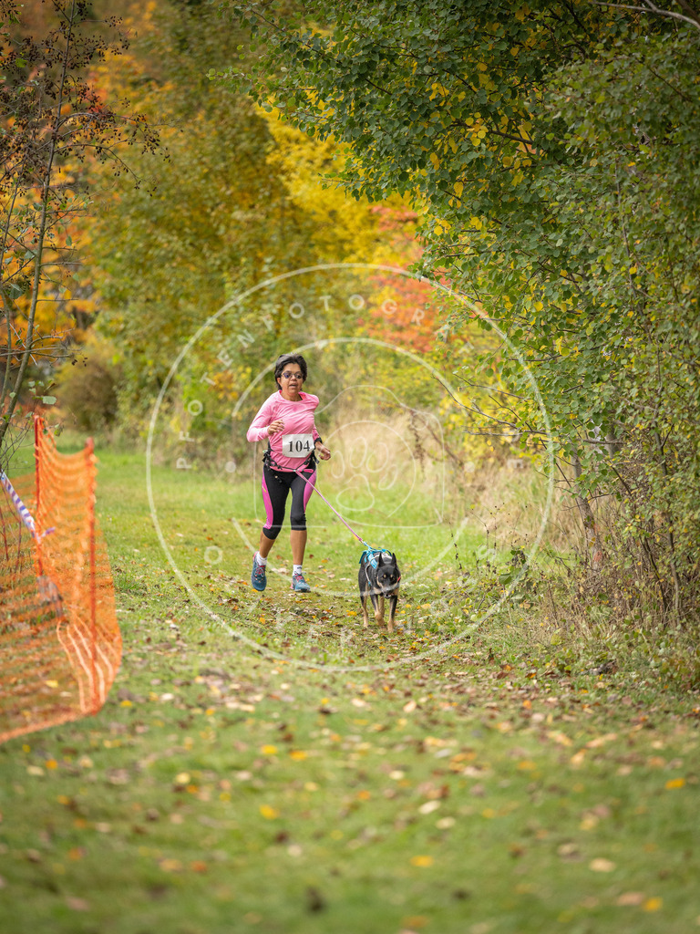 Pfotenfotografie_DV3A3545 | Hundefotografie, Tierfotograf, Pfotenfotografie, Fotoshooting Hund, Hunde Portrait, Hundesport, Hundeportraits, Heideshooting, Hunde, Sportfotograf, Hundefotograf, Turnierhundsport, THS,  - Realisiert mit Pictrs.com
