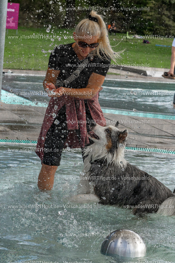 Hundeschwimmen_Volksbad_2026-allesWIRTHgut_Tierfotografie-2609061512-FAY07161 | Professionelle Tierfotografie in Mönchengladbach von Daniel Wirth (allesWIRTHgut). Liebevolle & natürliche Bilder von Hunden & Katzen für unvergessliche Erinnerungen.