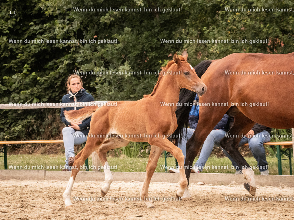 A10I5805 | photographylinaismer - Realisiert mit Pictrs.com