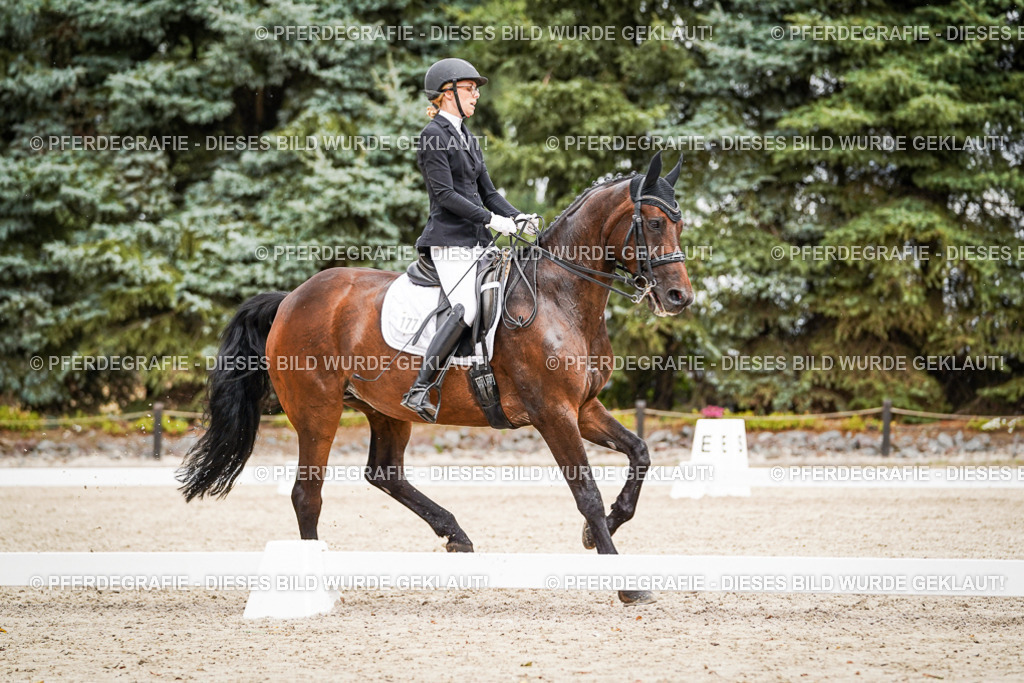 DSC04672 | Pferdegrafie