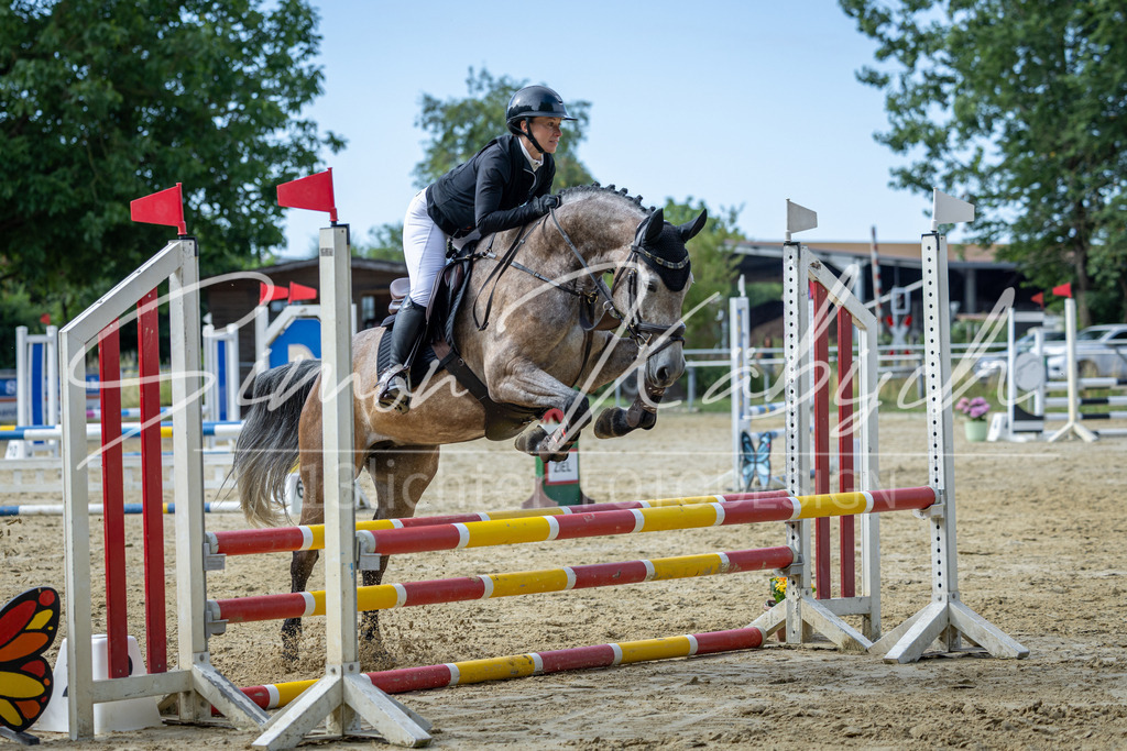 20260704-_3LI6547 | Tierfotografie Pferde, Hunde, Katzen, Haustiere.
Turnierfotografie Reitturniere, Reiten, Springreiten, Dressur in Hanau, dem Main-Kinzig-Kreis und dem Rhein-Main- Gebiet um Frankfurt