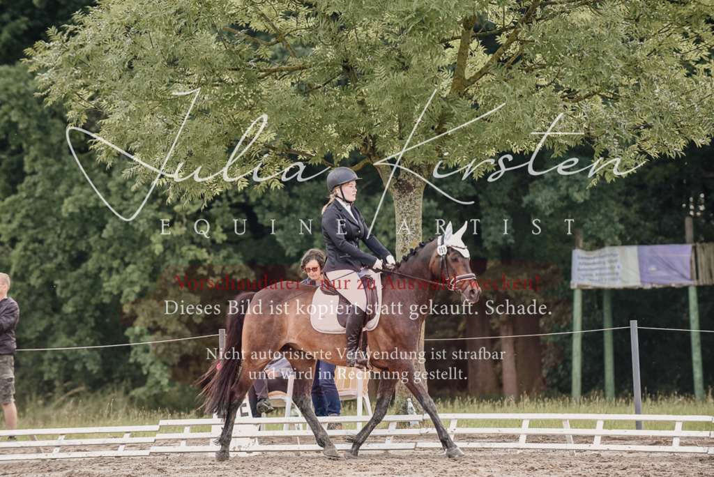 DSC_8208 | Pferde- und Turnierfotografie in Westsachsen. Pferdeportraits, Auftragszeichnungen und intuitive Kunst.