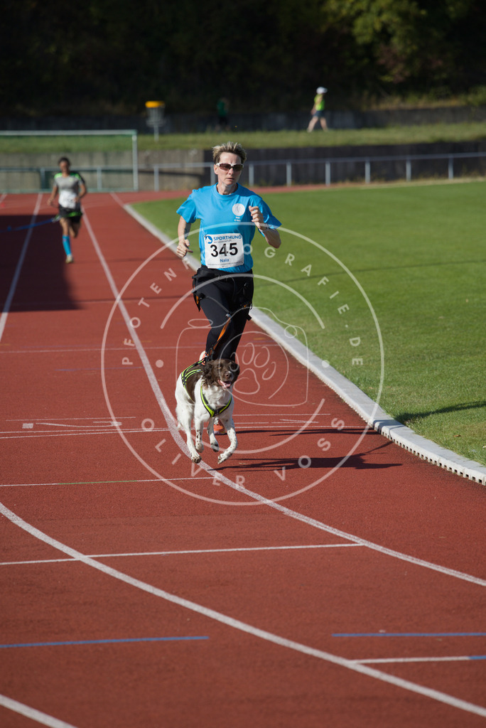 0L8A9138 | Hundefotografie, Tierfotograf, Pfotenfotografie, Fotoshooting Hund, Hunde Portrait, Hundesport, Hundeportraits, Heideshooting, Hunde, Sportfotograf, Hundefotograf, Turnierhundsport, THS,  - Realisiert mit Pictrs.com