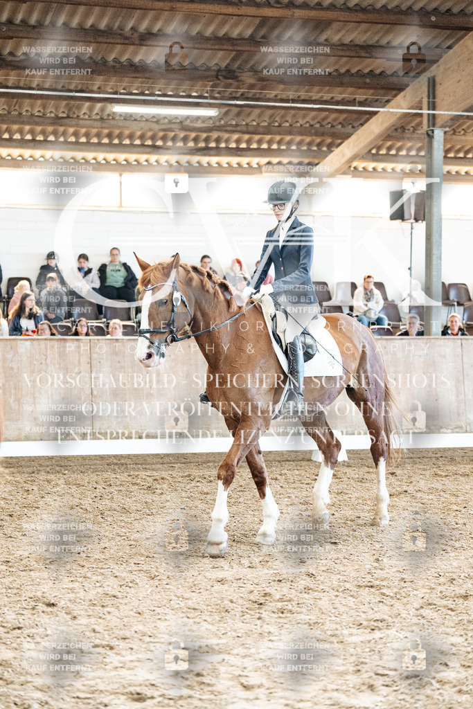CK909985 | Turnierfotografie Pferdefotografie Trier Rheinland-Pfalz Pferdesport Reitsport Tierfotografie Sportfotografie Pferdevideo Pferdevideografie Equestrianvideography equestrianphotography  - Realized with Pictrs.com