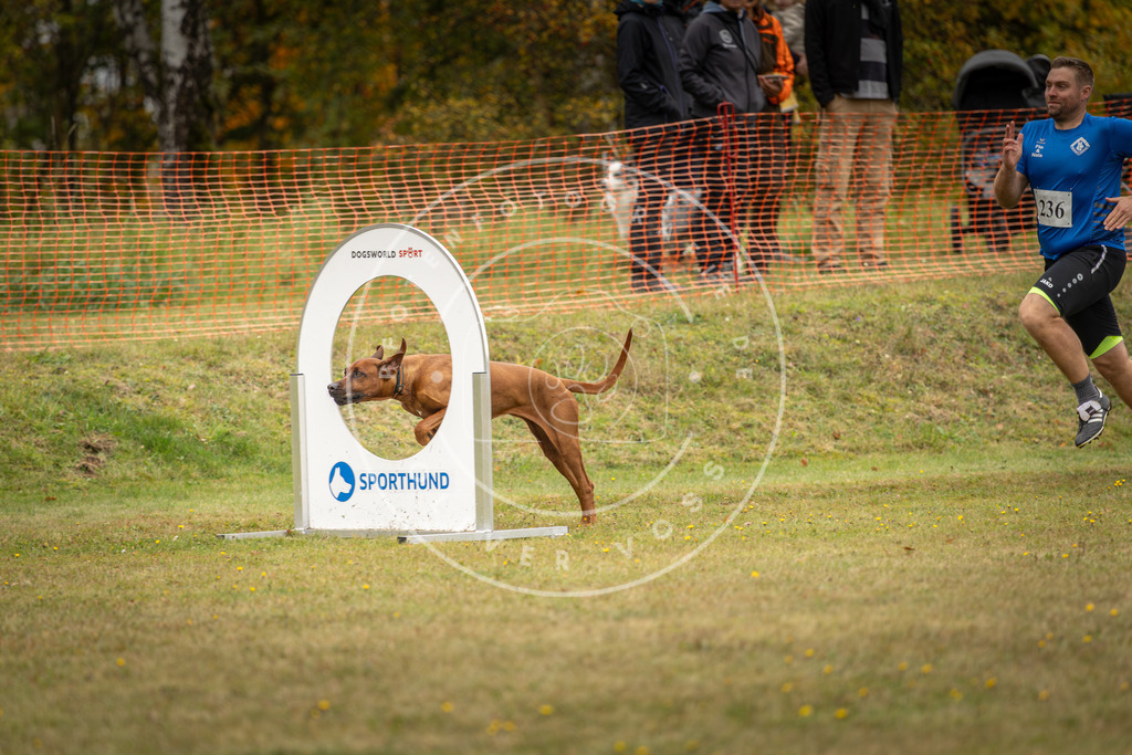 Pfotenfotografie_DV3A5726 | Hundefotografie, Tierfotograf, Pfotenfotografie, Fotoshooting Hund, Hunde Portrait, Hundesport, Hundeportraits, Heideshooting, Hunde, Sportfotograf, Hundefotograf, Turnierhundsport, THS,  - Realisiert mit Pictrs.com