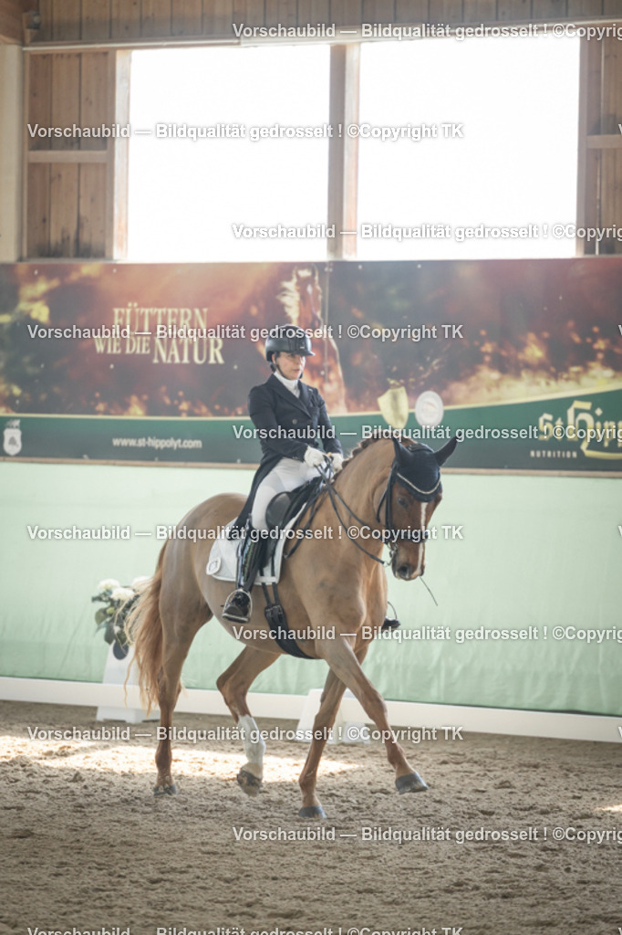 _D5A1338 | Emotionale Pferde- & People-Fotografie rund um Heidelberg, Leimen & Umgebung. Natürliche Fotos von Pferd, Mensch & Familie. Jetzt Termin sichern!