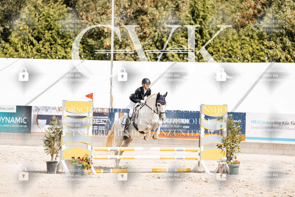 CK906446 | Turnierfotografie Pferdefotografie Trier Rheinland-Pfalz Pferdesport Reitsport Tierfotografie Sportfotografie Pferdevideo Pferdevideografie Equestrianvideography equestrianphotography  - Realisiert mit Pictrs.com