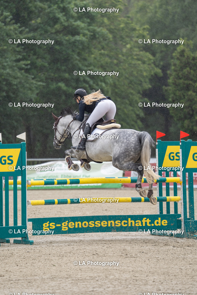 DSC07056 | Entdecke einzigartige Turnierfotos und persönliche Pferde- und Hundeportraits bei LA Photography. Für jeden Reiter und Pferd das perfekte Bild! Stöbere jetzt! - Realisiert mit Pictrs.com