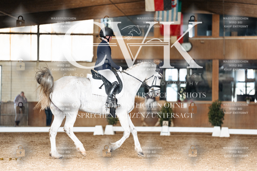 CK902590 | Turnierfotografie Pferdefotografie Trier Rheinland-Pfalz Pferdesport Reitsport Tierfotografie Sportfotografie Pferdevideo Pferdevideografie Equestrianvideography equestrianphotography  - Realisiert mit Pictrs.com