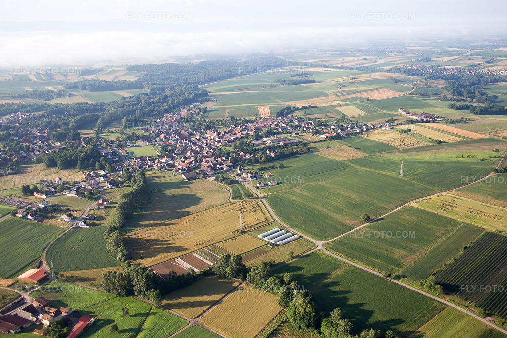 Aerial view: View of the town in Steinseltz in the state Bas-Rhin, France. – Photo: IMG_089953.jpg taken on 06/26/2016 by Werner Riehm/FLY-FOTO.com – Resolution of the original: 5472 x 3648 px