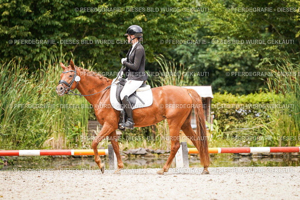 DSC04329 | Pferdegrafie