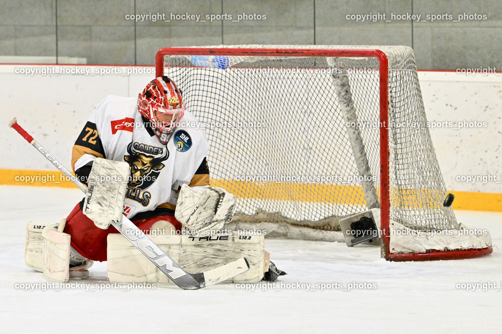 Kuss & Kuss Kings vs. Golden Bulls | #72 Kavic Jan Golden Bulls, Kuss & Kuss Kings vs. Golden Bulls, Kuss & Kuss Kings vs. Golden Bulls am 30.05.2025 in Ferlach (HTC Eishalle Ferlach), Austria, (Photo by Bernd Stefan)