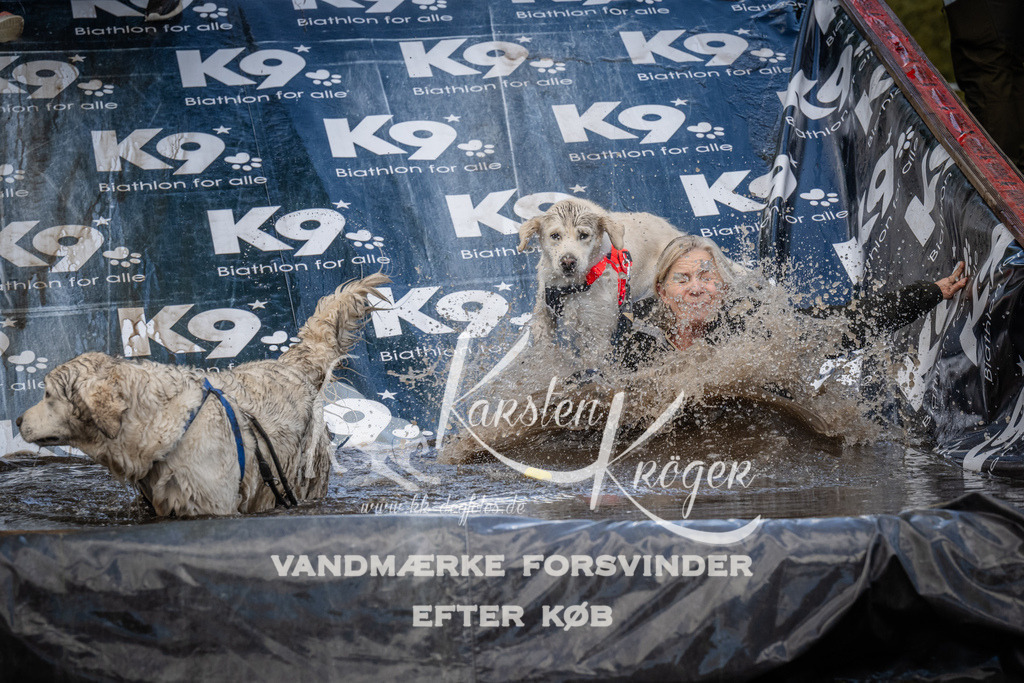 1548_ZZ90742 | kk-dogfotos