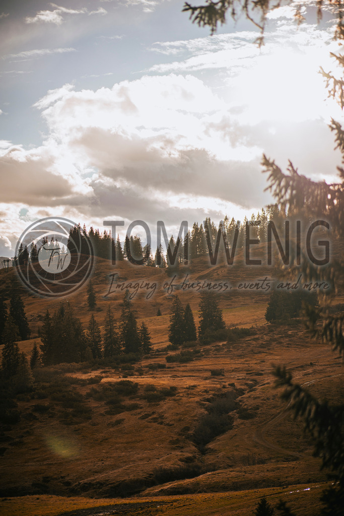 IMG_4937 | Fotos:
Tom Wenig
https://www.tomwenig.de - Realisiert mit Pictrs.com