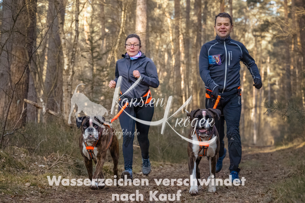 0836_ZZ91711-Bearbeitet | kk-dogfotos