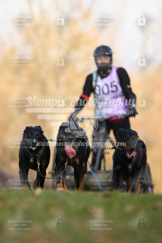 MompixPhotography_10Schwabentrail2026_SO_Kart-15 | PayLife