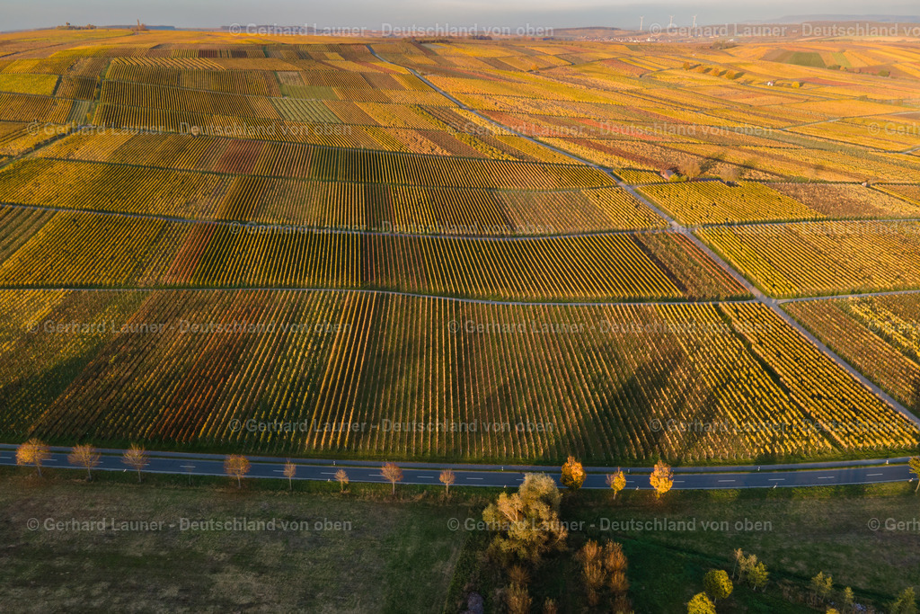 WEI0020 | Weinbergslandschaft zw. Sommerach und Köhler