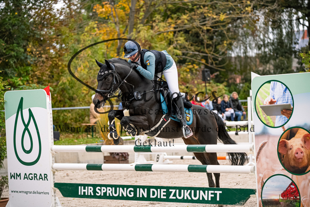 A7V08612 | Turnier/Reitfotograf