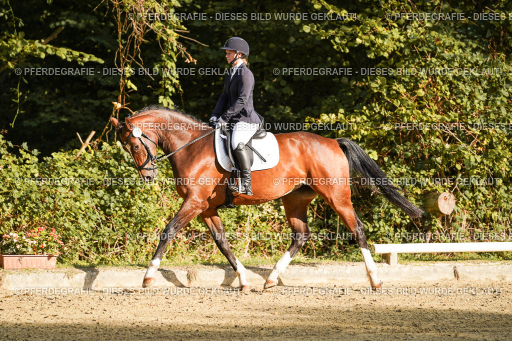 DSC05293 | Pferdegrafie