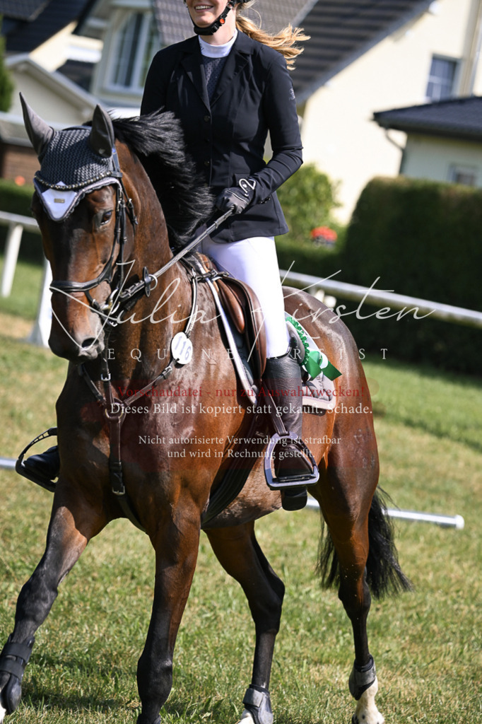 DSC_0738 | Pferde- und Turnierfotografie in Westsachsen. Pferdeportraits, Auftragszeichnungen und intuitive Kunst.