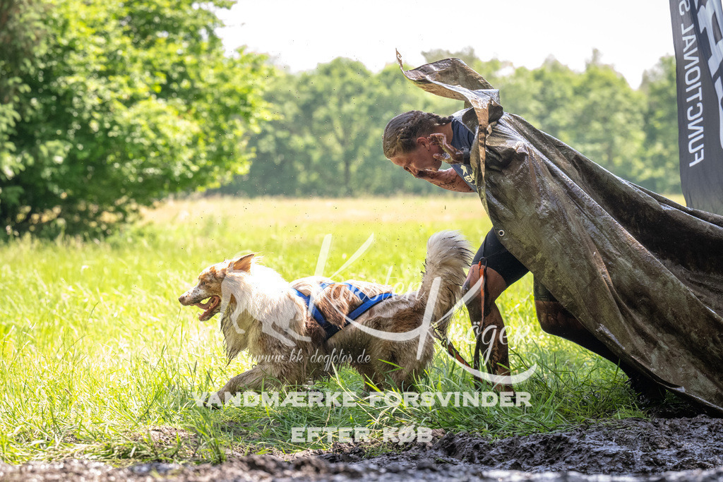 1157_ZZ90452 | kk-dogfotos